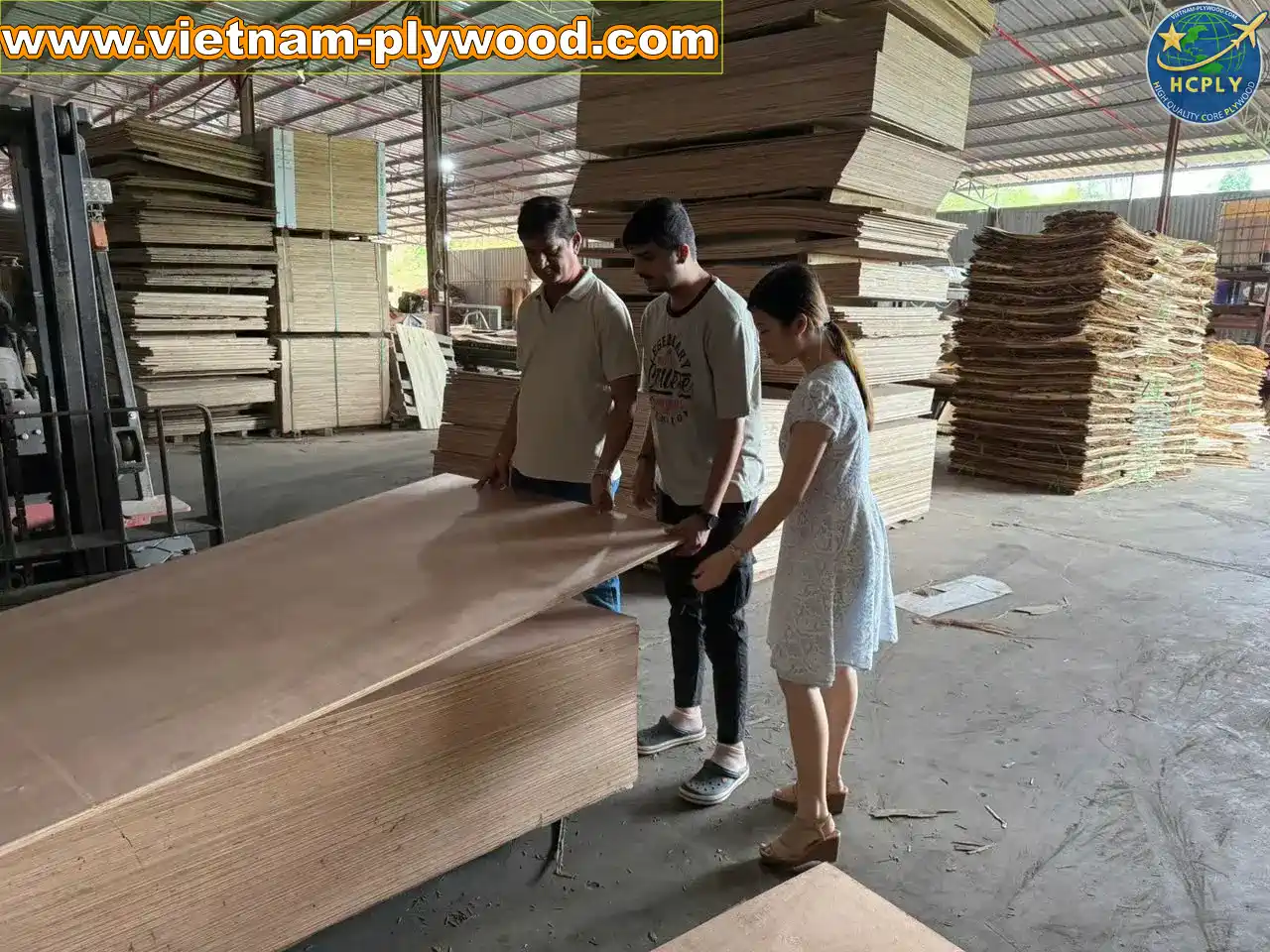 international buyers visit vietnam plywood factory hcply