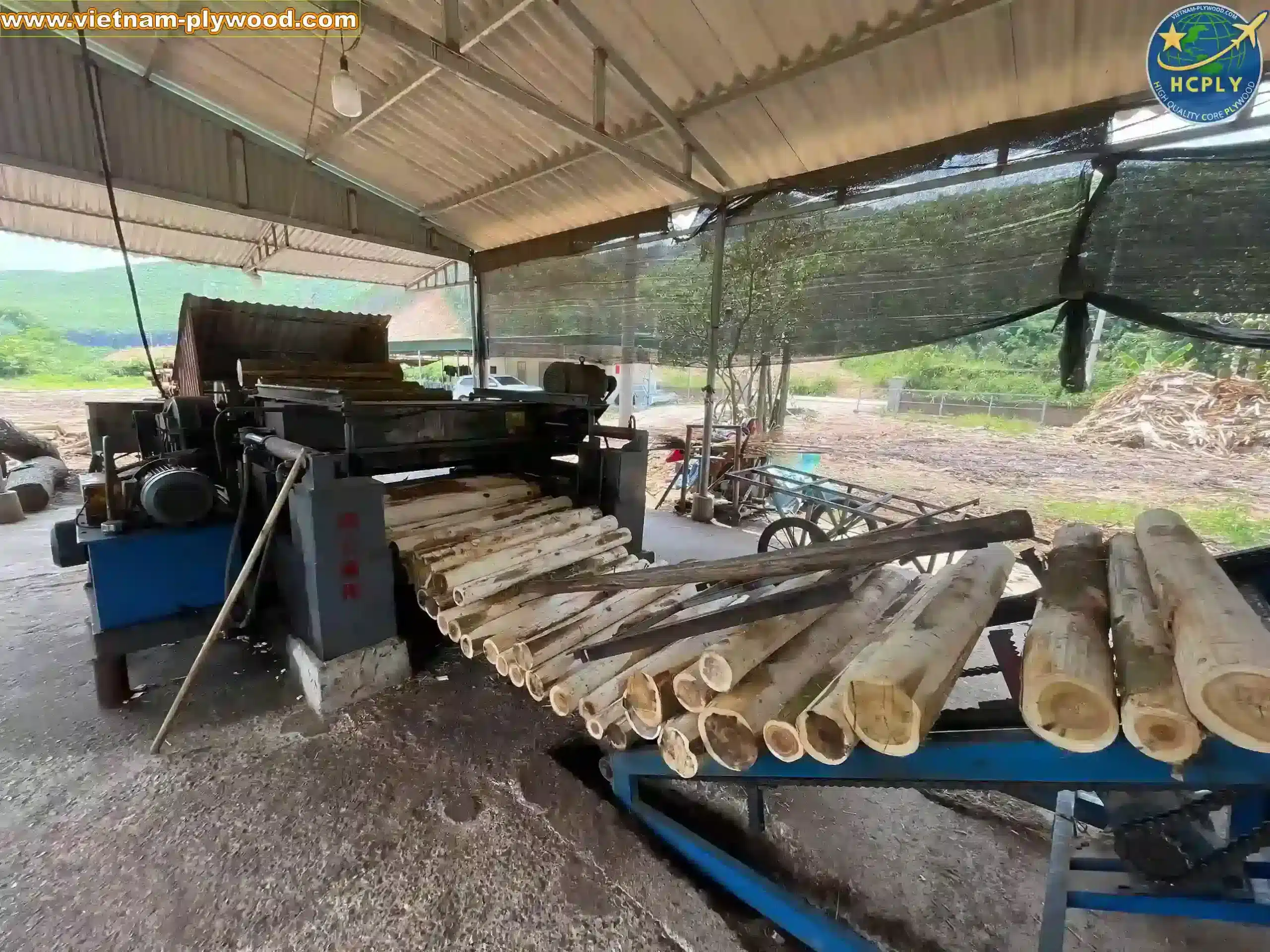 core veneer production line inside vietnam plywood factory hcply