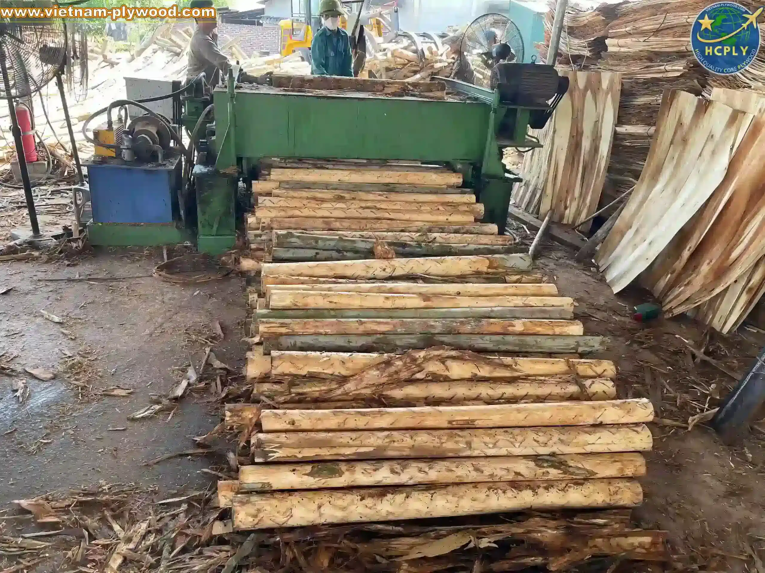 core veneer production line inside vietnam plywood factory hcply
