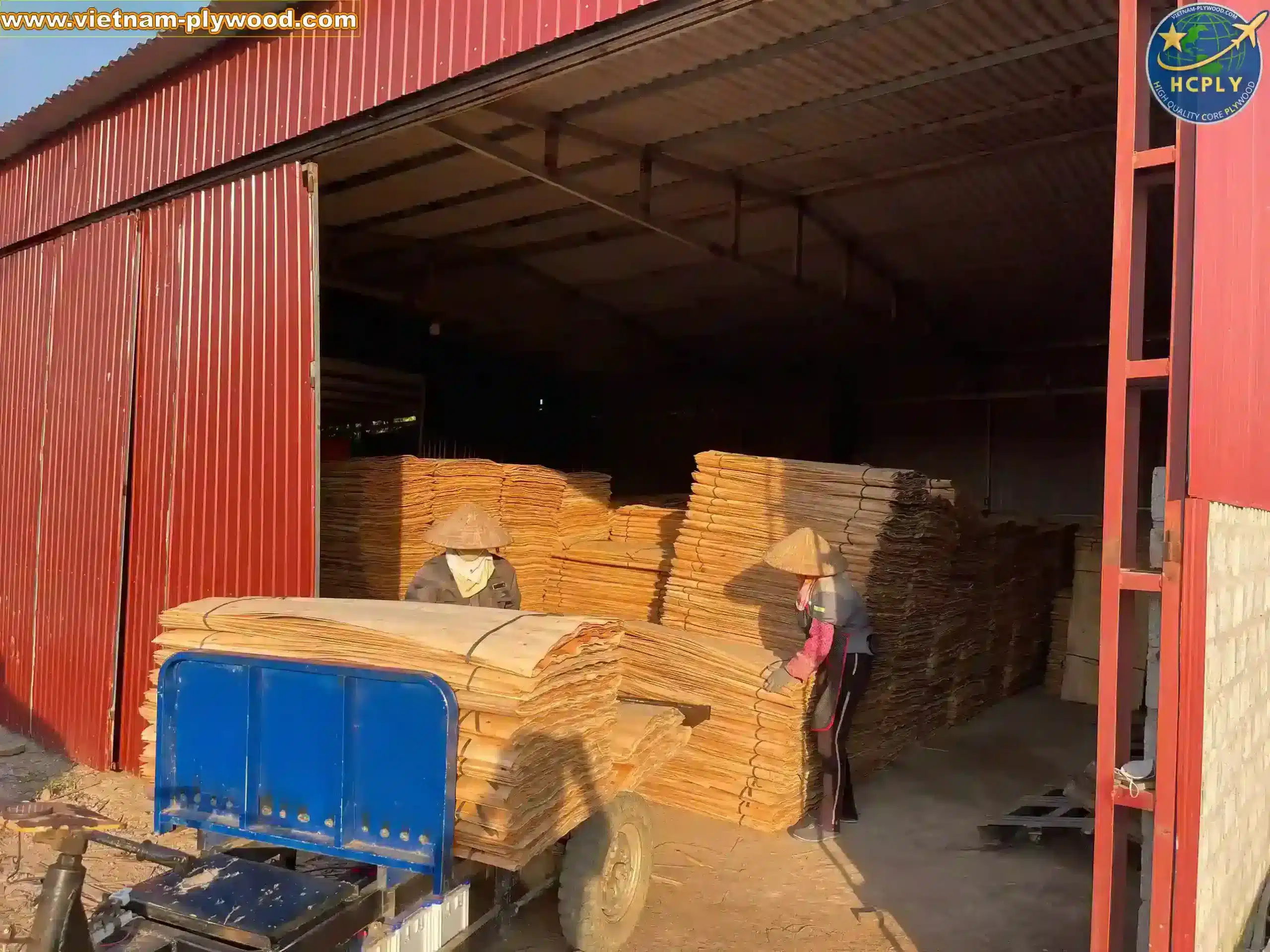 core veneer production line inside vietnam plywood factory hcply