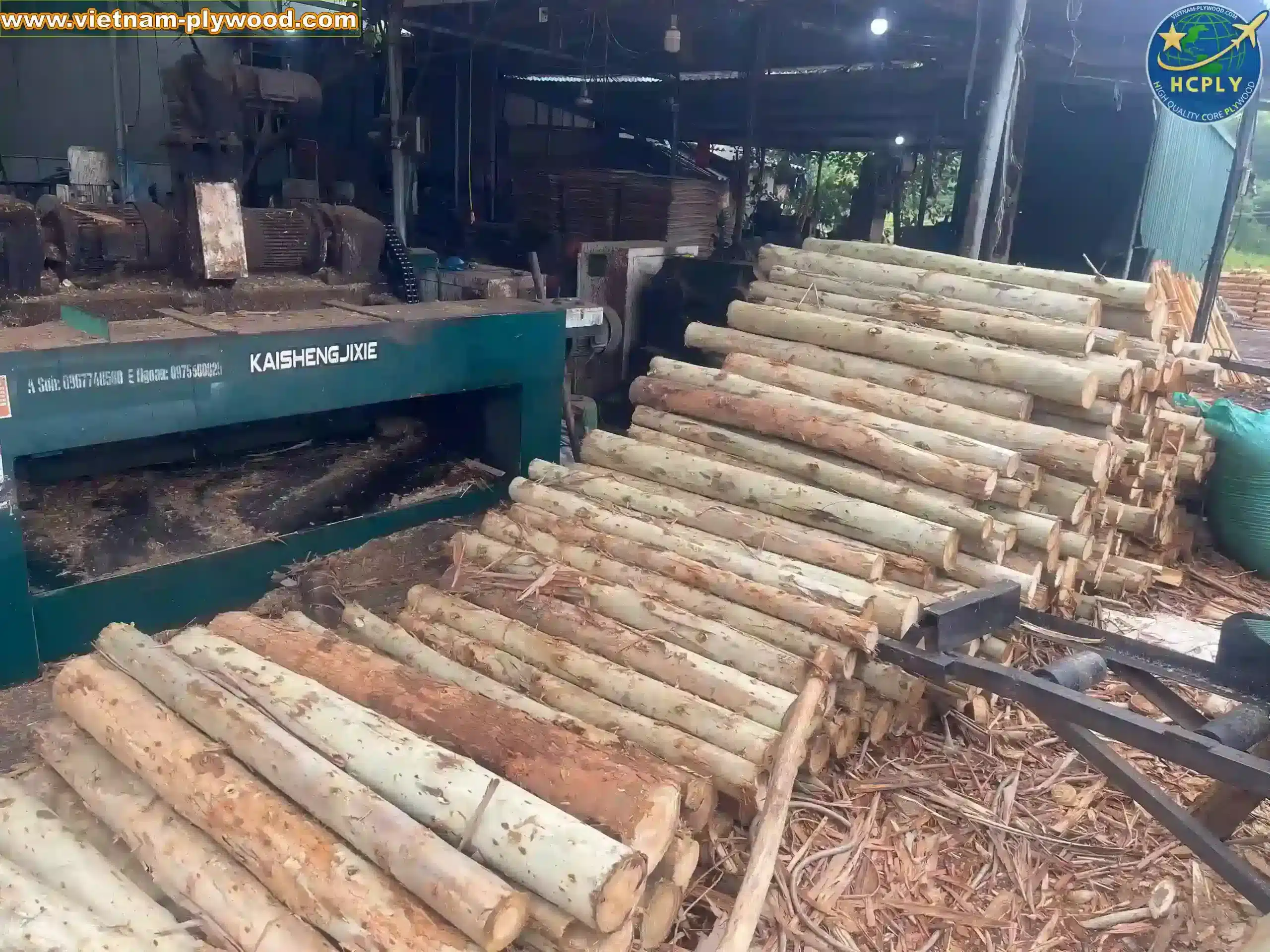 core veneer production line inside vietnam plywood factory hcply