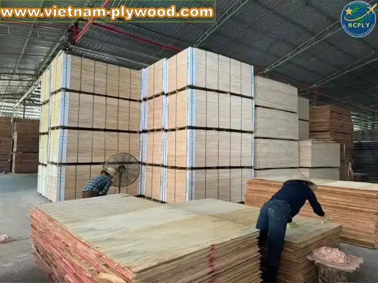 plywood sheet manufacturing vietnam plywood factory hcply