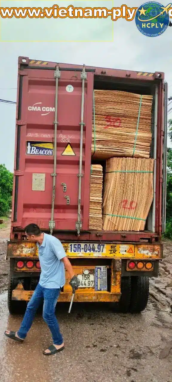 loading core veneer into export container vietnam hcply