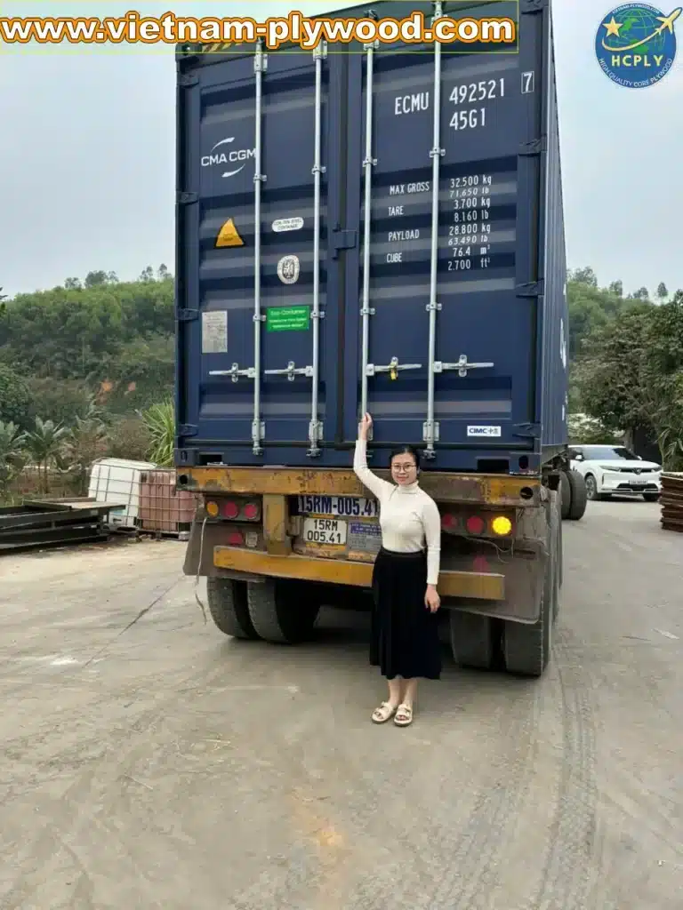 loading plywood boards hc container vietnam hcply