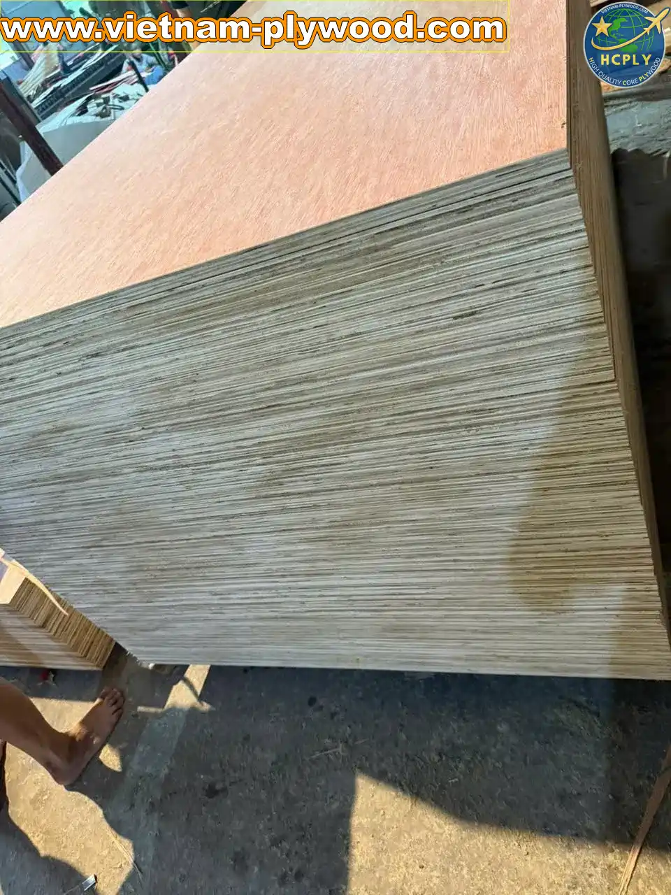 bintangor plywood vietnam export grade a furniture hcply