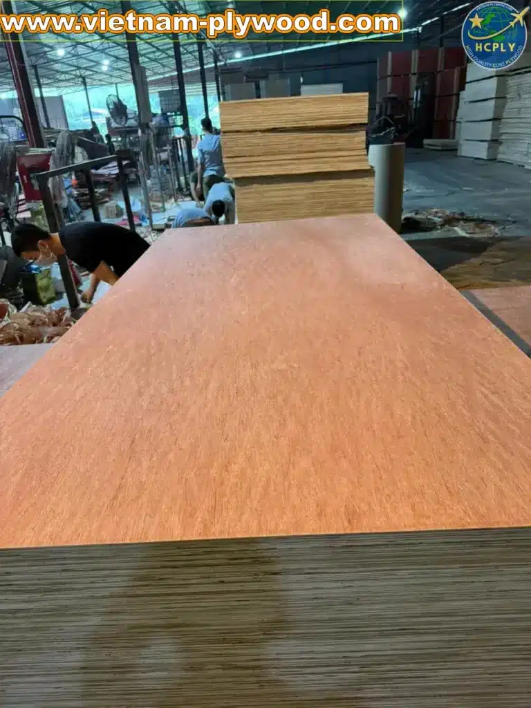 bintangor plywood vietnam export grade a furniture hcply