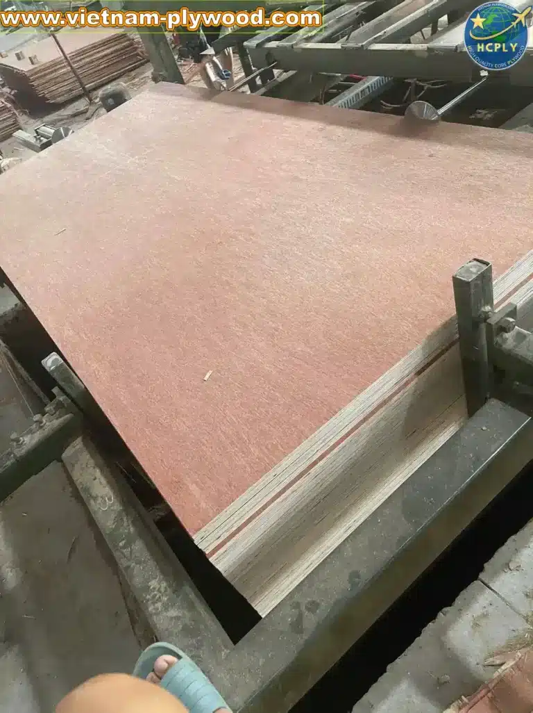 bintangor plywood vietnam export grade a furniture hcply