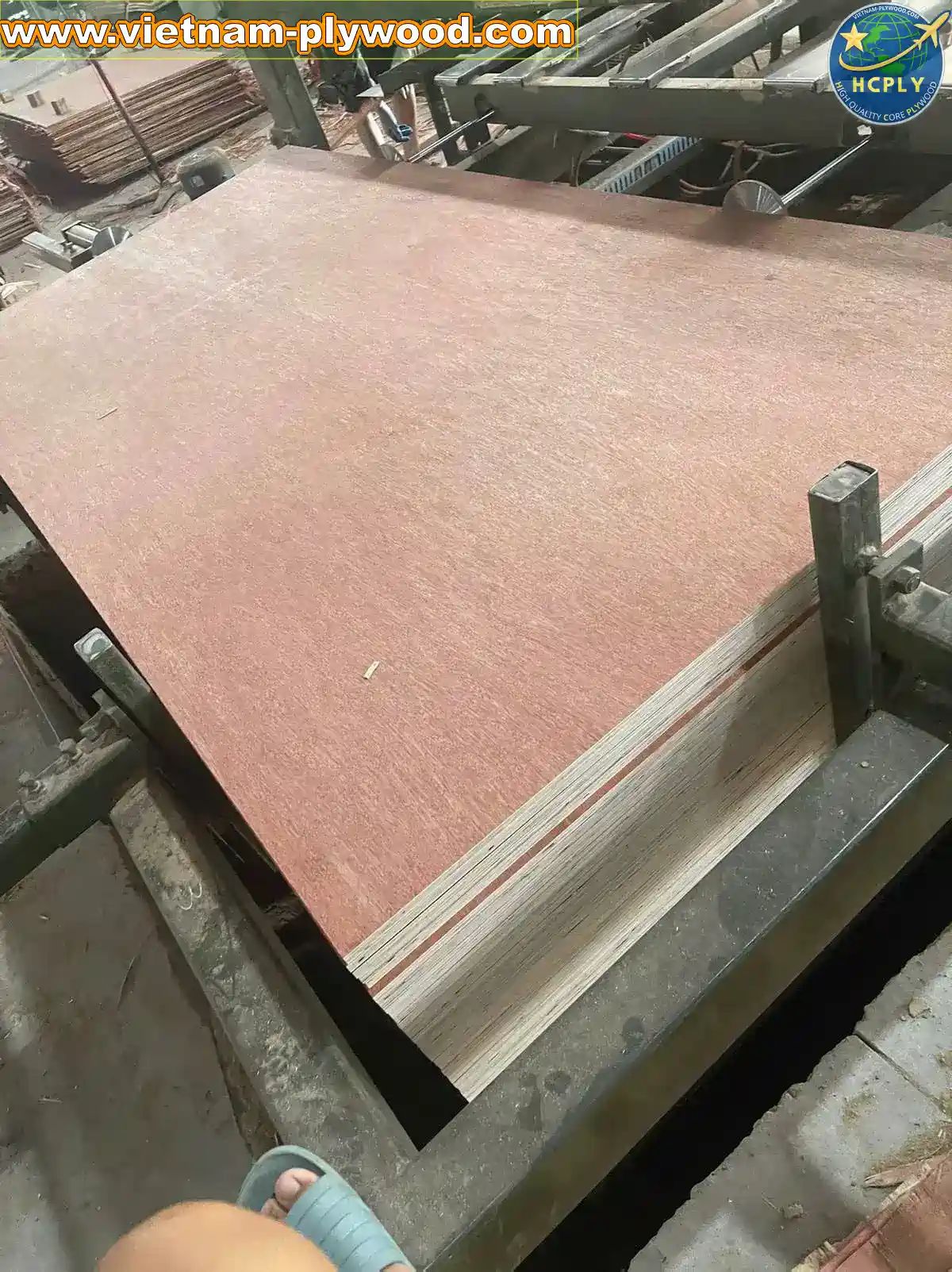bintangor plywood vietnam export grade a furniture hcply