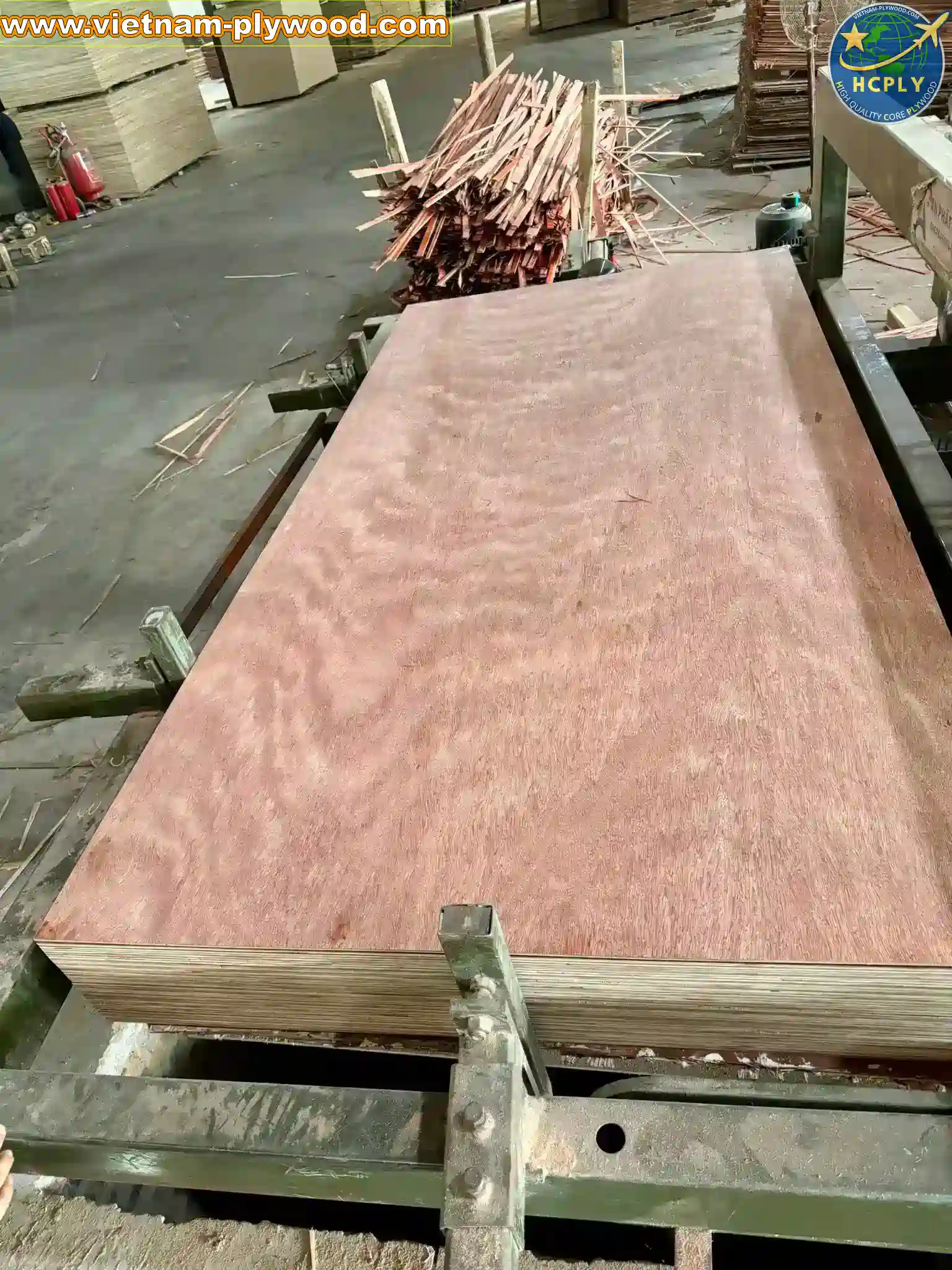 bintangor plywood vietnam export grade a furniture hcply