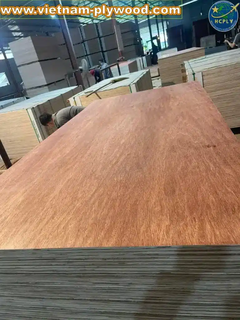 bintangor plywood vietnam export grade a furniture hcply