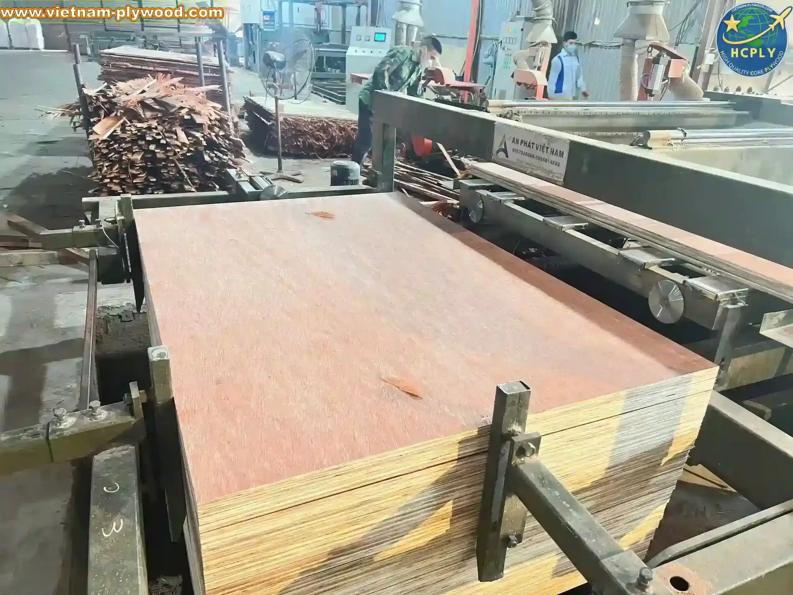 bintangor plywood vietnam export grade a furniture hcply