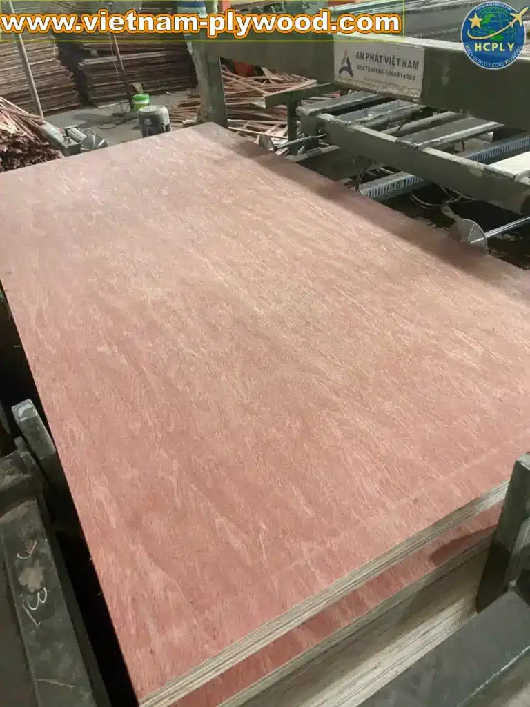 bintangor plywood vietnam export grade a furniture hcply