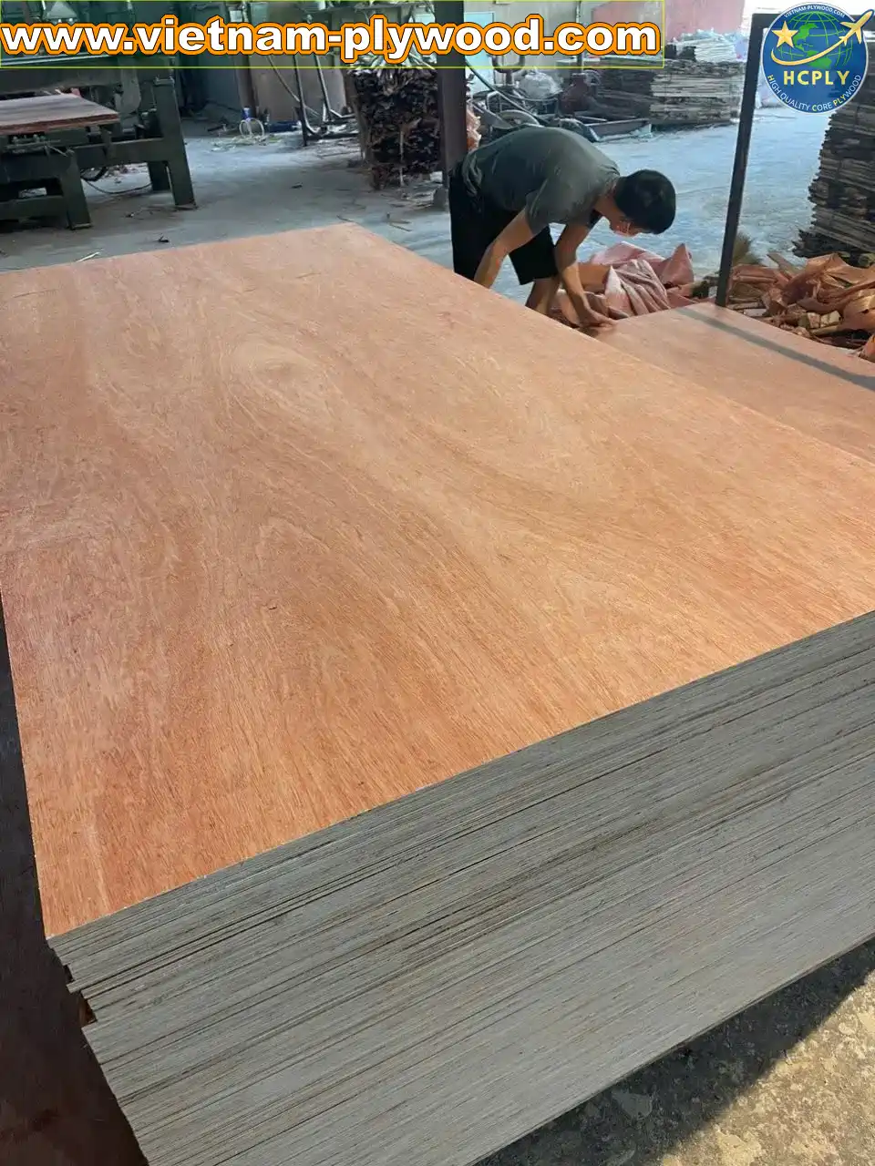 bintangor plywood vietnam export grade a furniture hcply