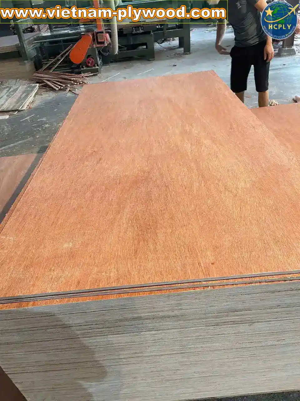 vietnam bintangor plywood suppliers