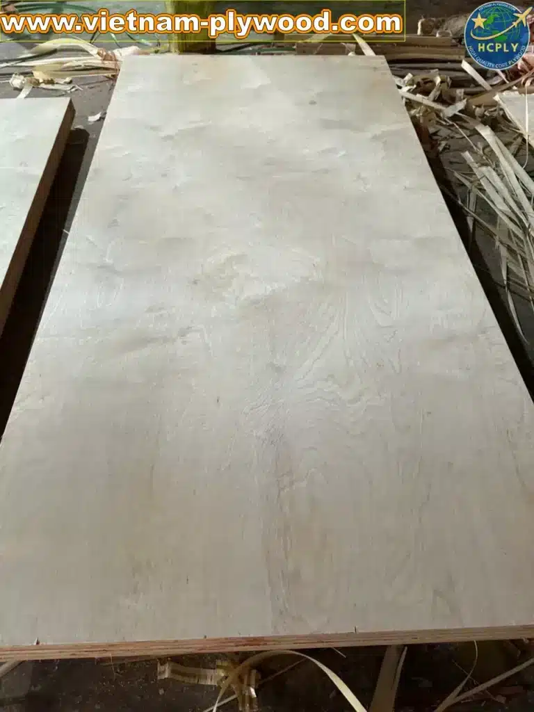 birch plywood vietnam export supplier hcply