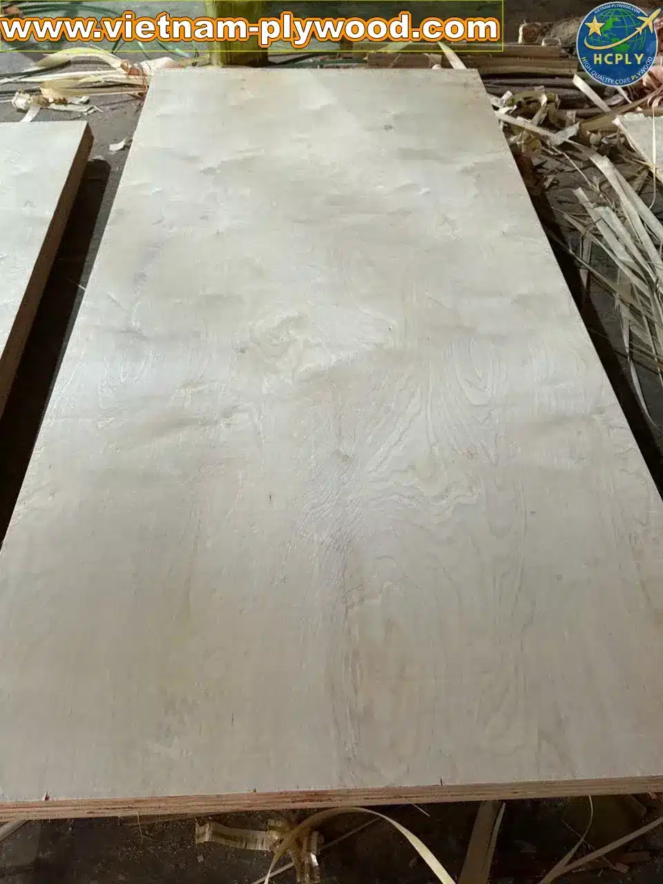 birch plywood vietnam export supplier hcply