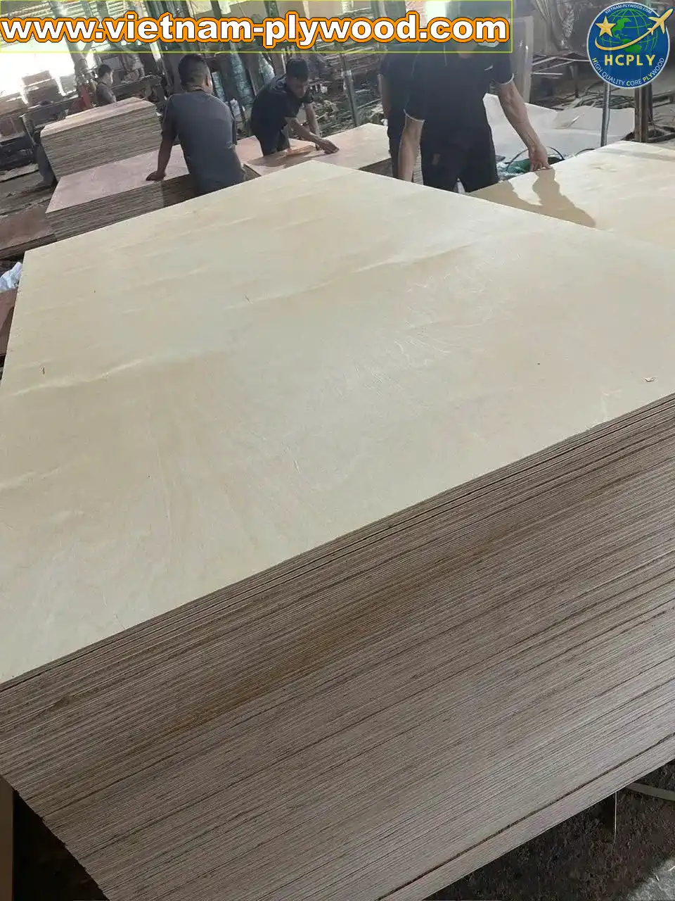 birch plywood vietnam export supplier hcply