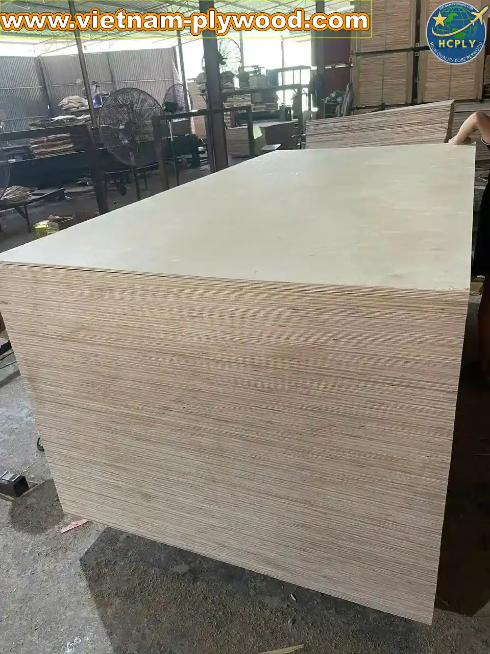 birch plywood vietnam export supplier hcply