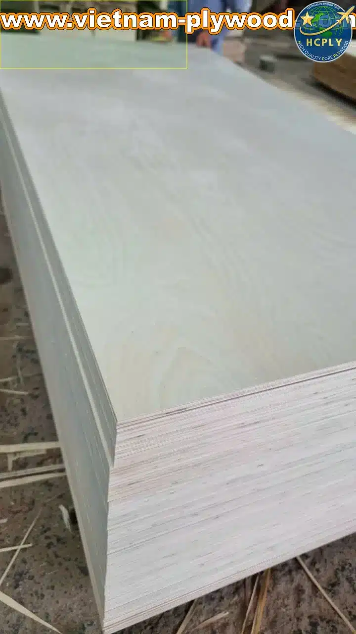 birch plywood vietnam export supplier hcply