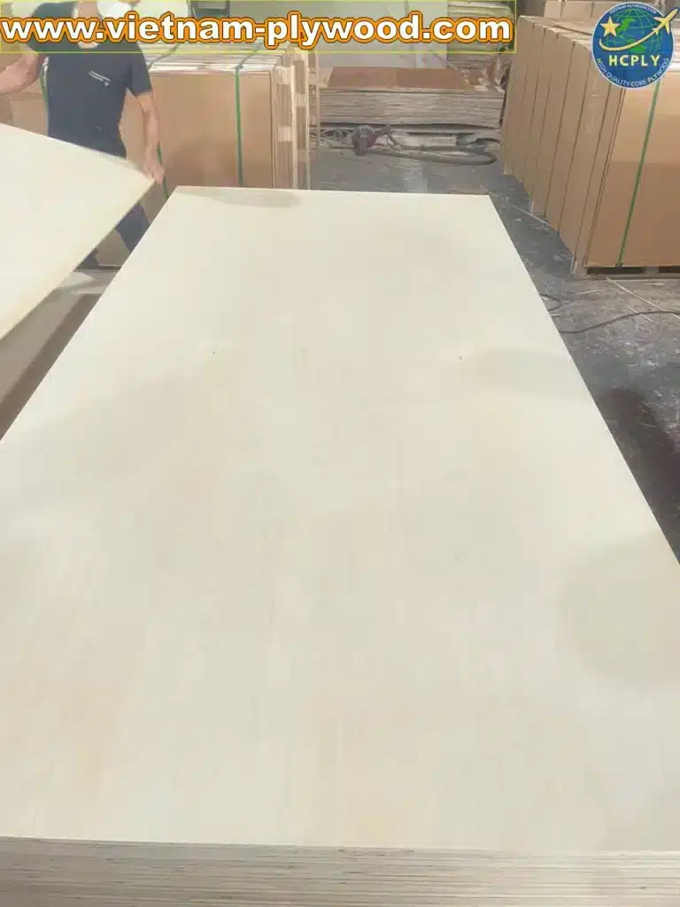 birch plywood vietnam export supplier hcply