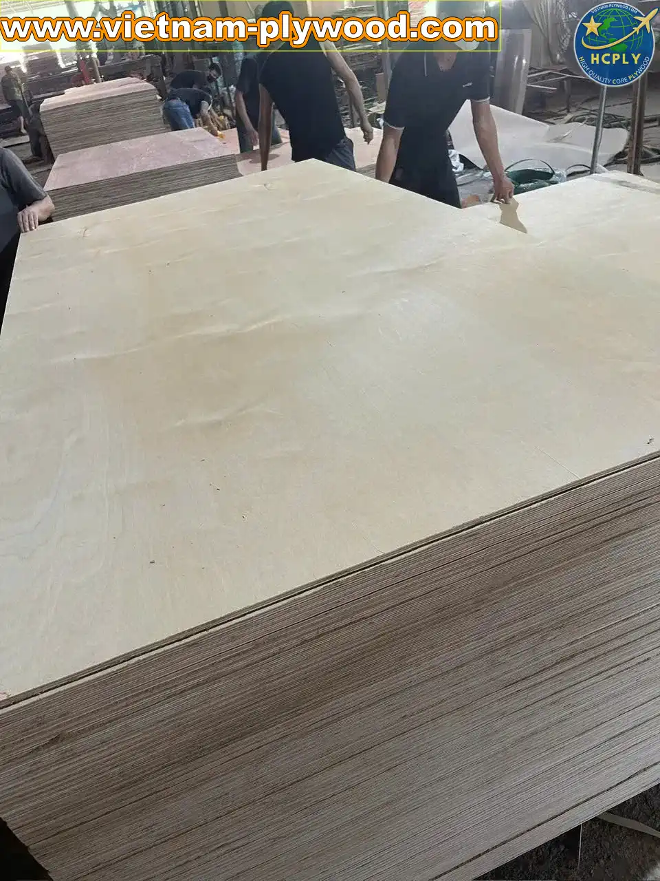 birch plywood vietnam export supplier hcply