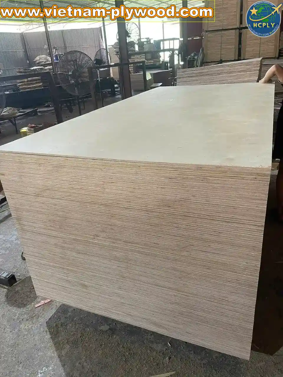 birch plywood vietnam export supplier hcply