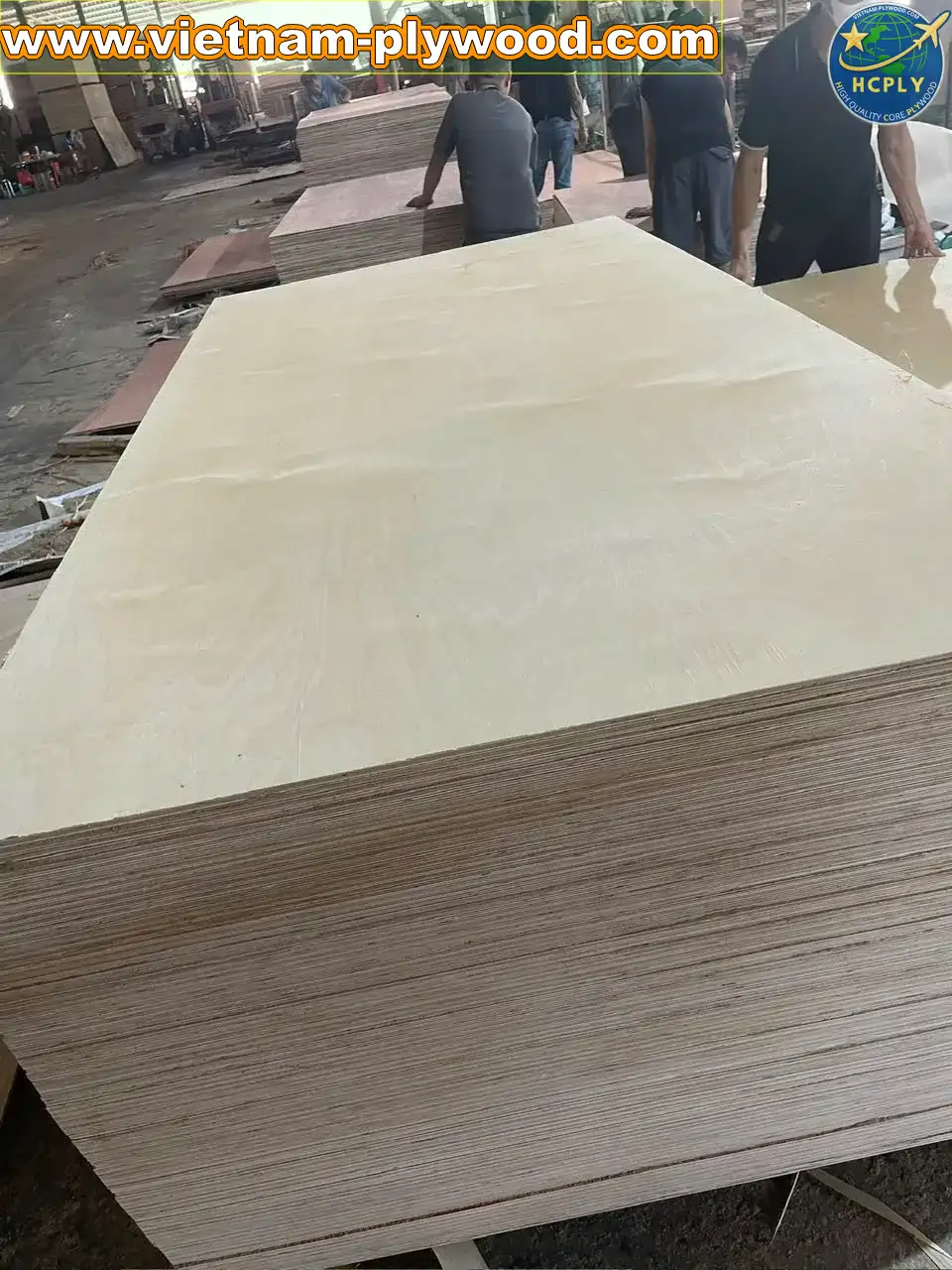 birch plywood vietnam export supplier hcply