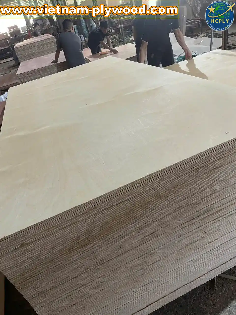 birch plywood vietnam export supplier hcply