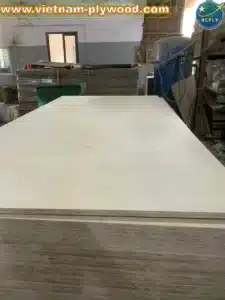 birch plywood vietnam export supplier hcply