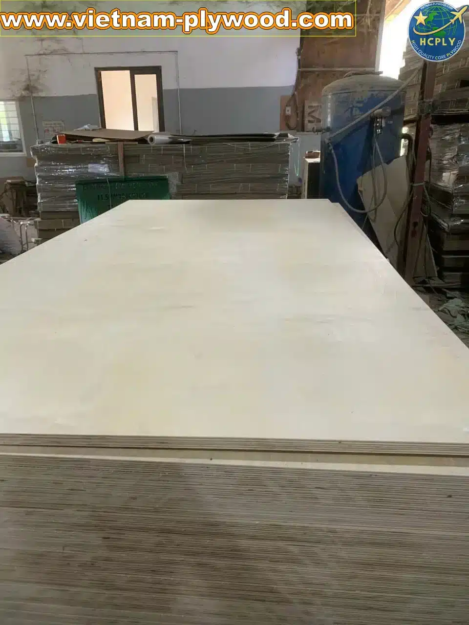birch plywood vietnam export supplier hcply