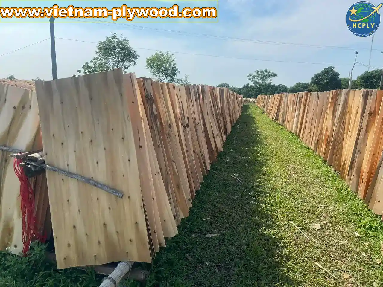 acacia core veneer vietnam export grade a plywood hcply