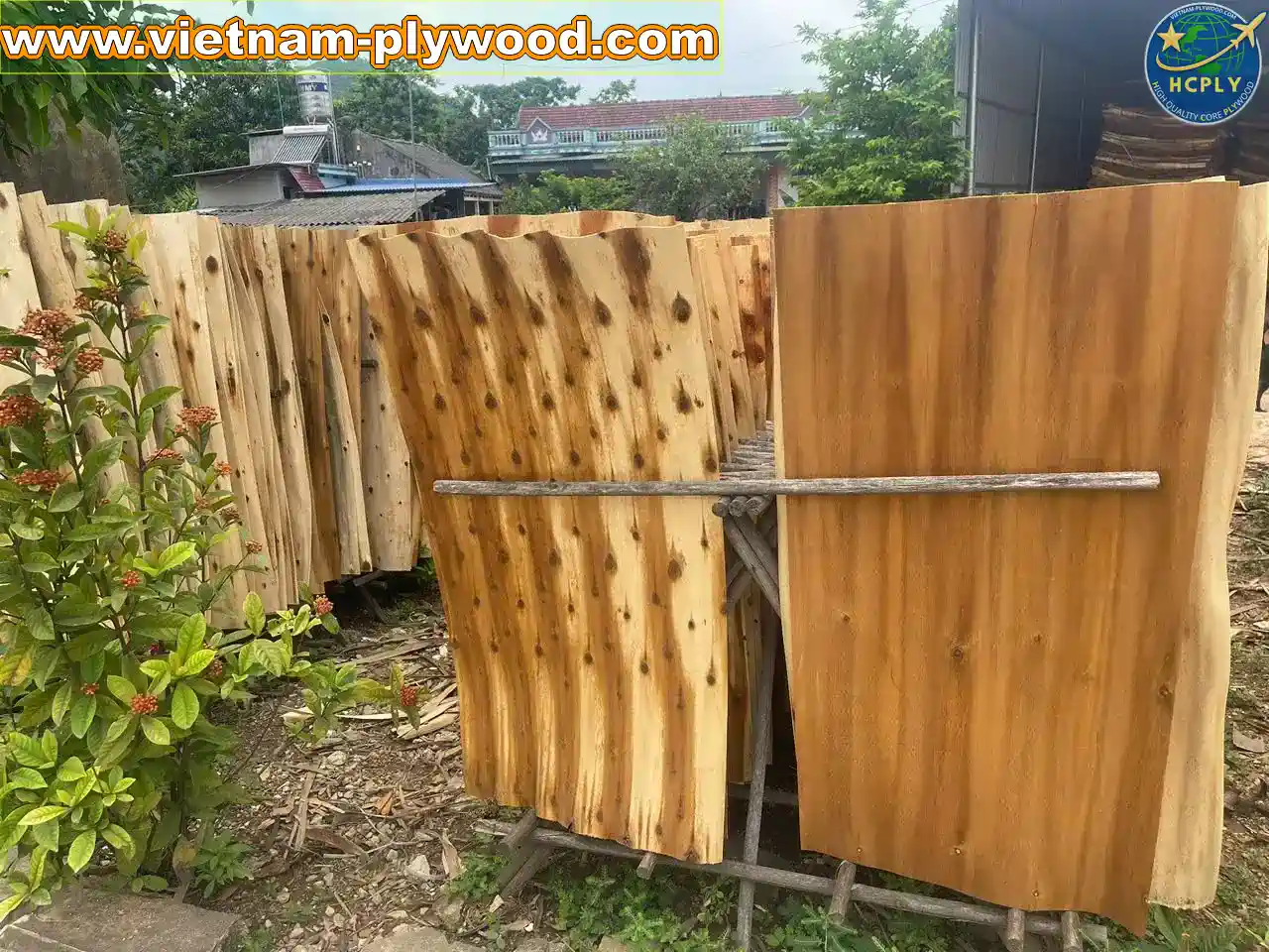 acacia core veneer vietnam export grade a plywood hcply