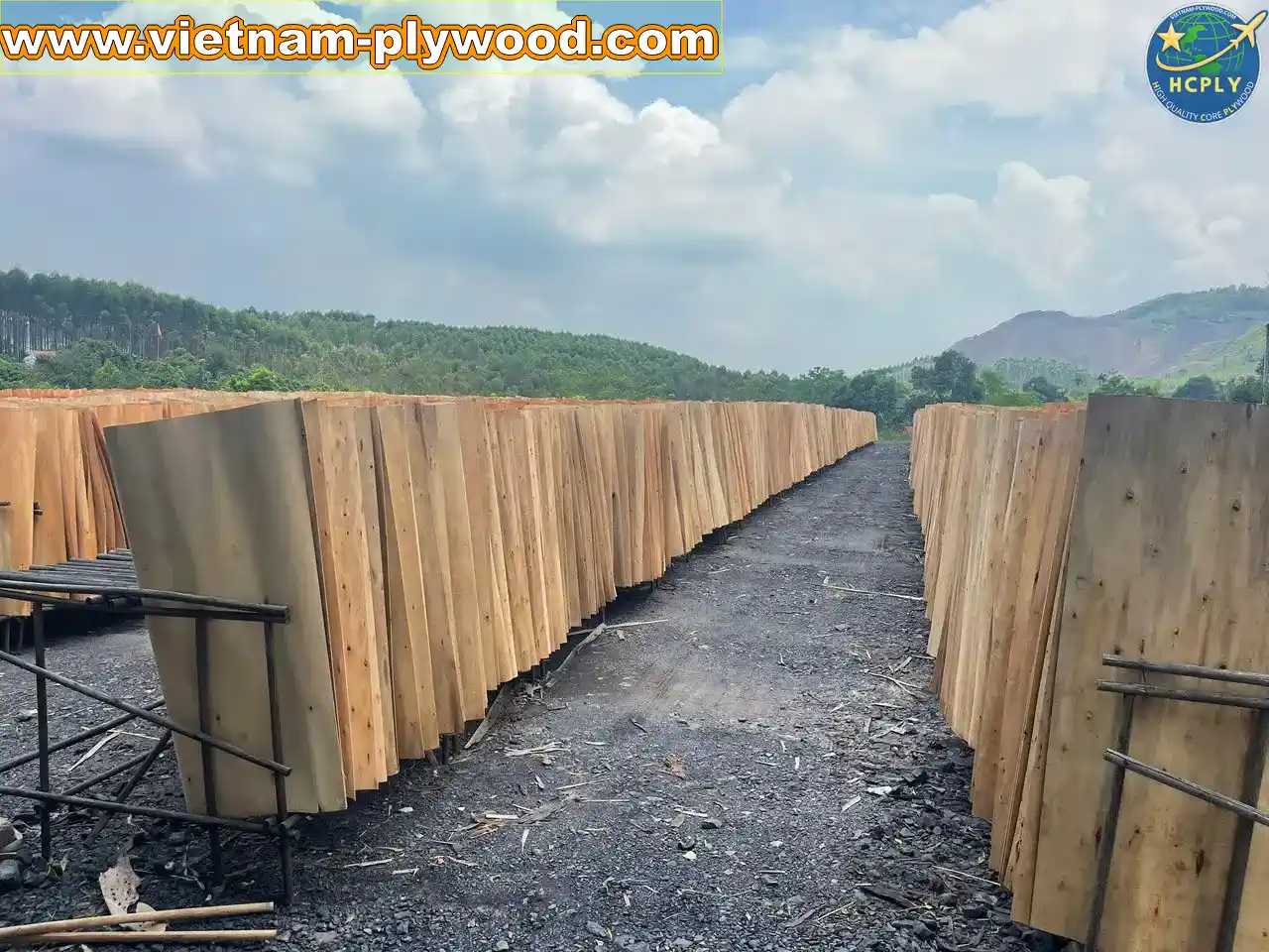 eucalyptus core veneer vietnam export high density hcply