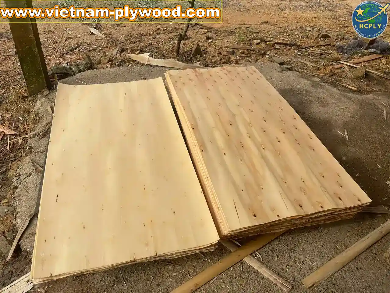 eucalyptus core veneer vietnam export high density hcply