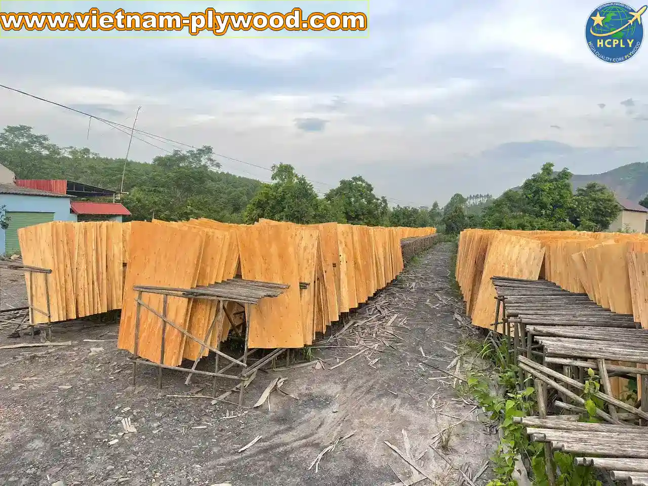 eucalyptus core veneer vietnam export high density hcply