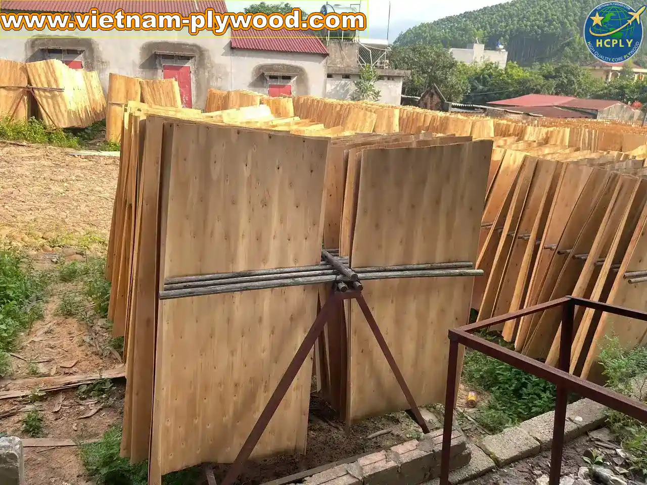eucalyptus core veneer vietnam export high density hcply