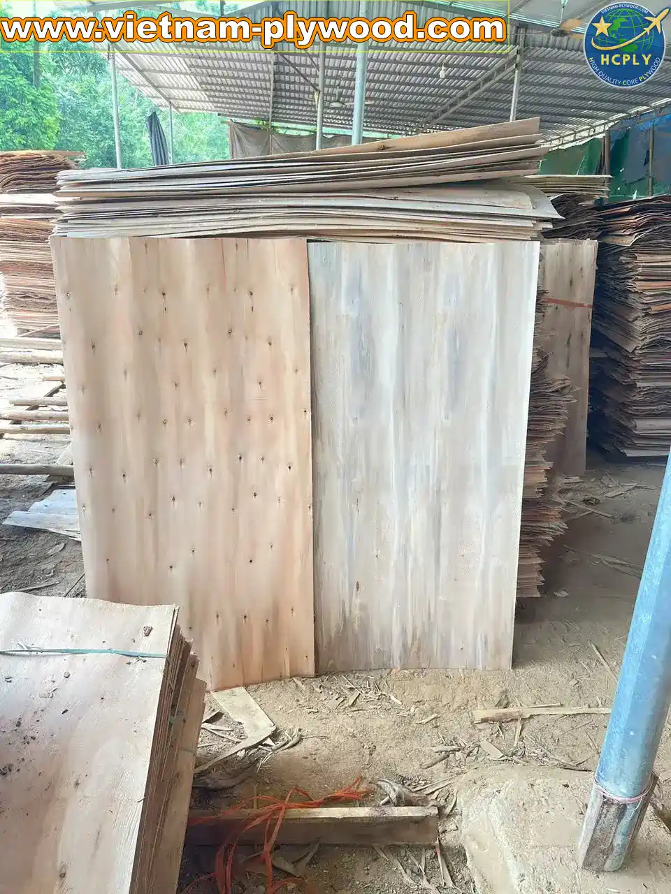 eucalyptus core veneer vietnam export high density hcply