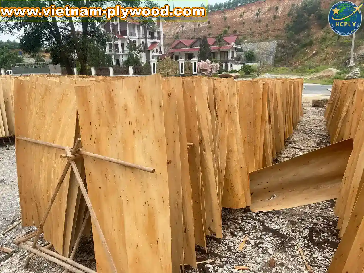 eucalyptus core veneer vietnam export high density hcply