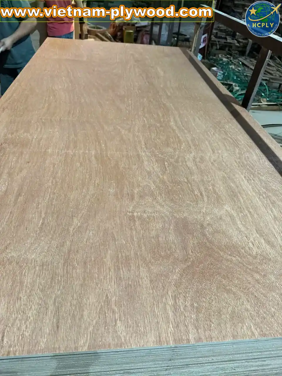 gurjan plywood vietnam premium export grade hcply