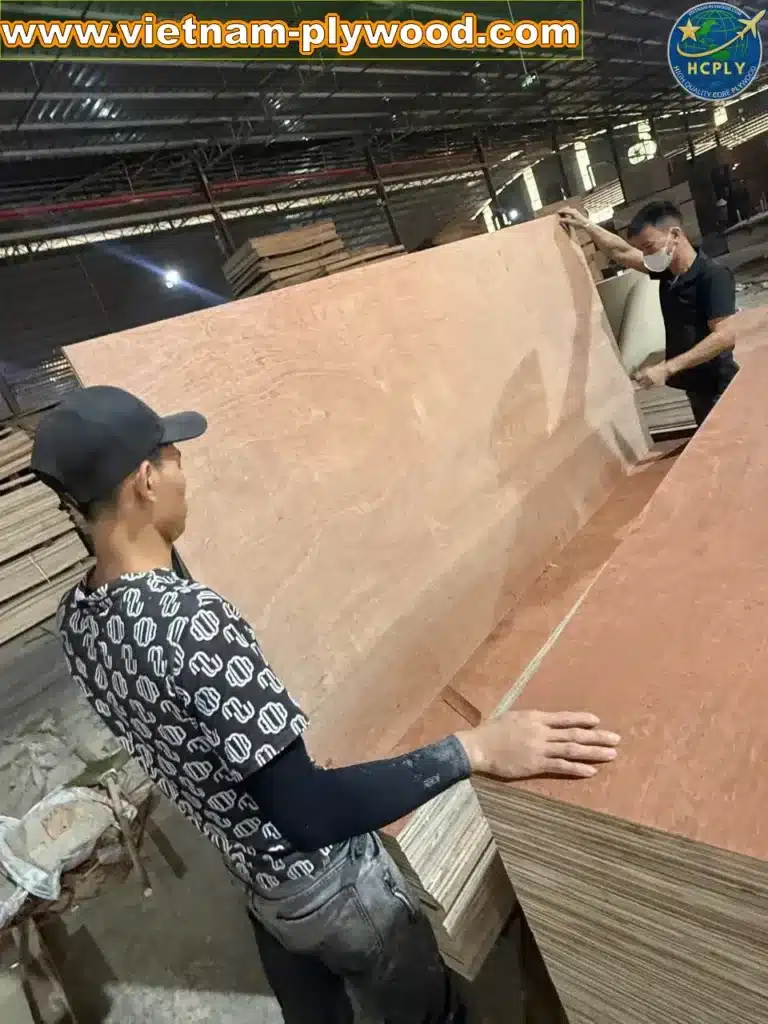 gurjan plywood vietnam premium export grade hcply