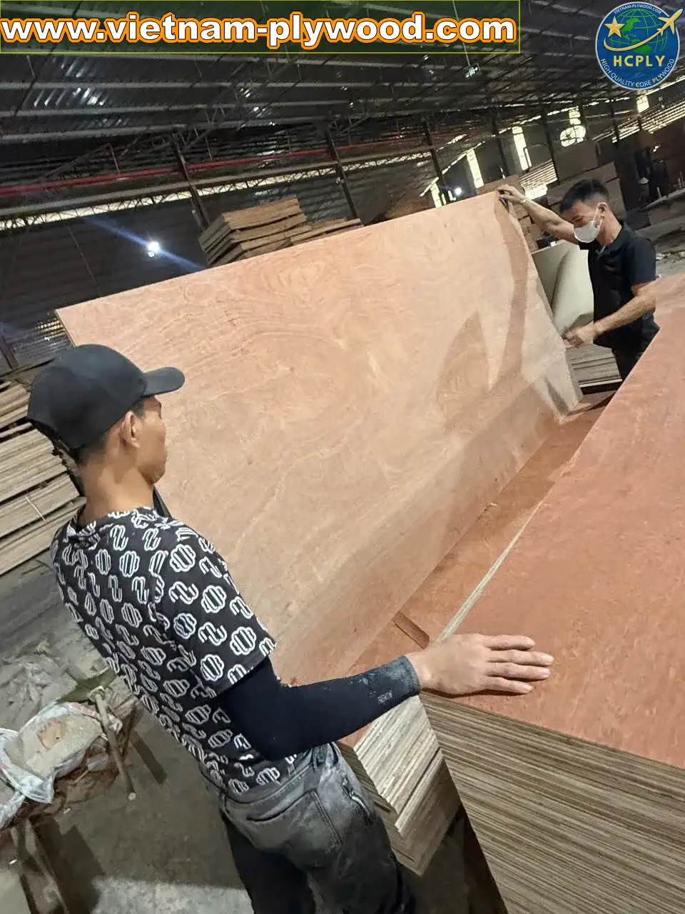 gurjan face plywood vietnam premium export grade hcply