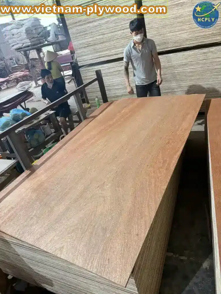 gurjan plywood vietnam premium export grade hcply