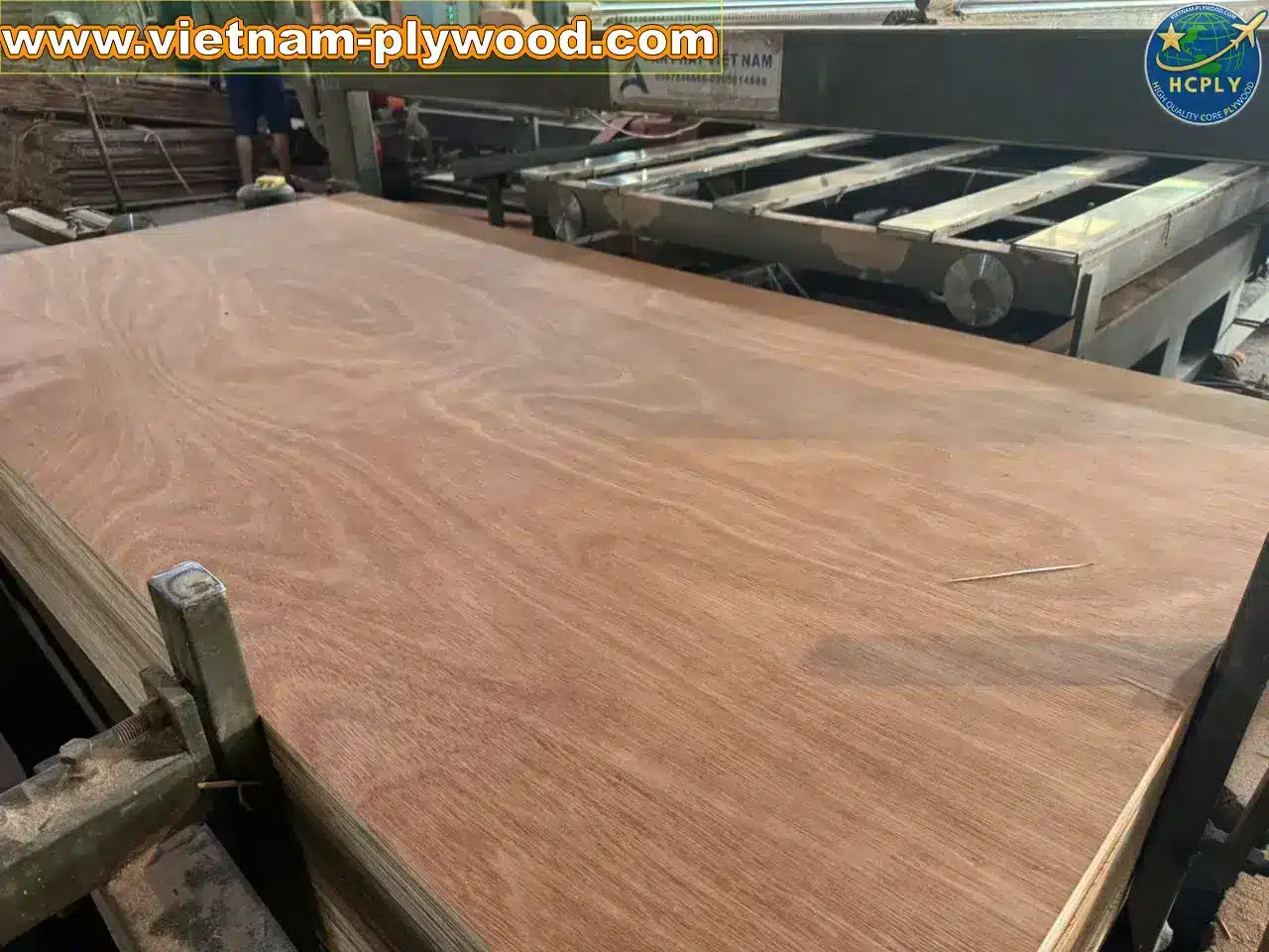 gurjan plywood vietnam premium export grade hcply