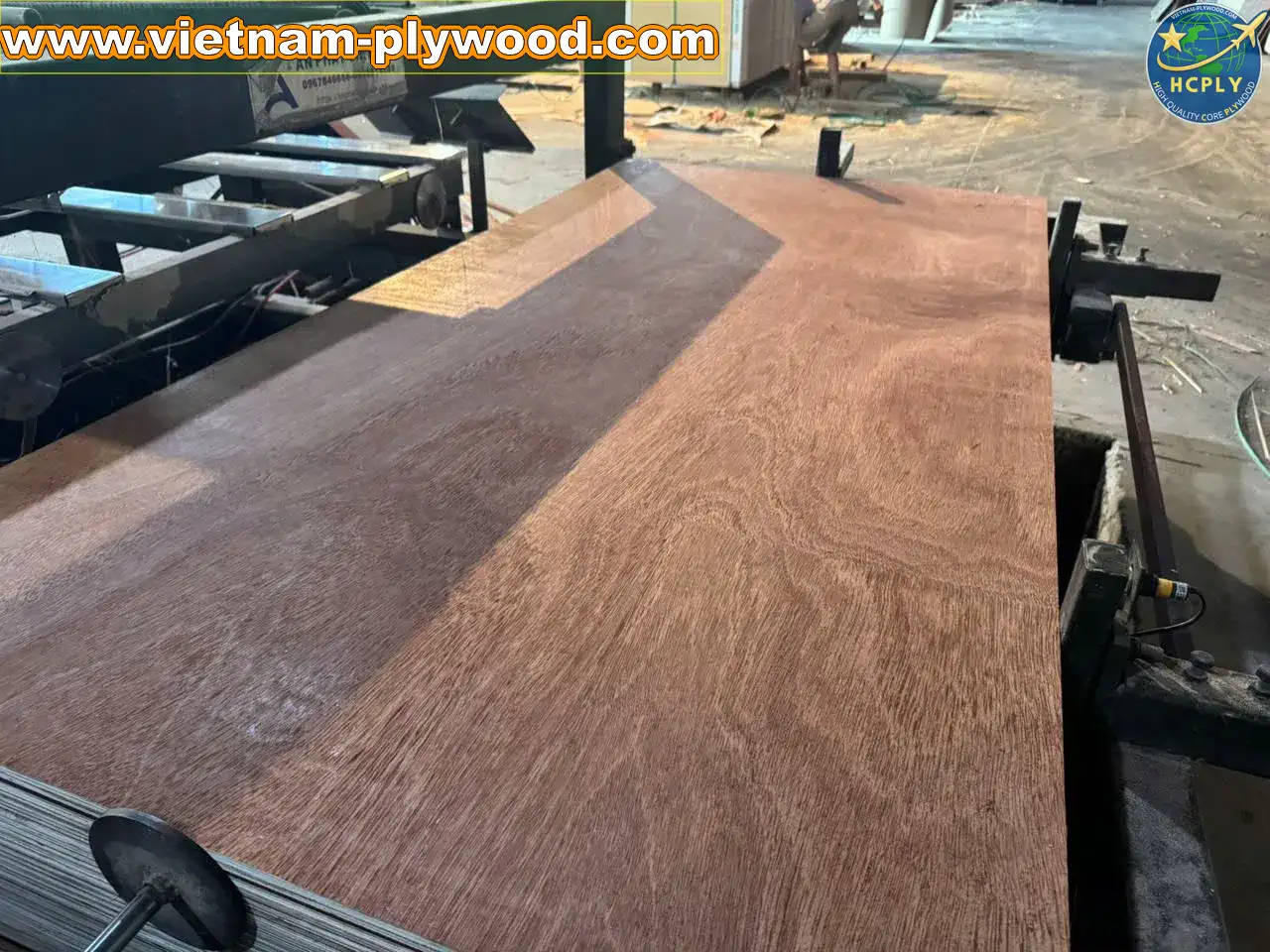 gurjan face plywood vietnam premium export grade hcply