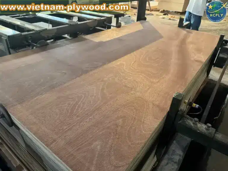gurjan plywood vietnam premium export grade hcply