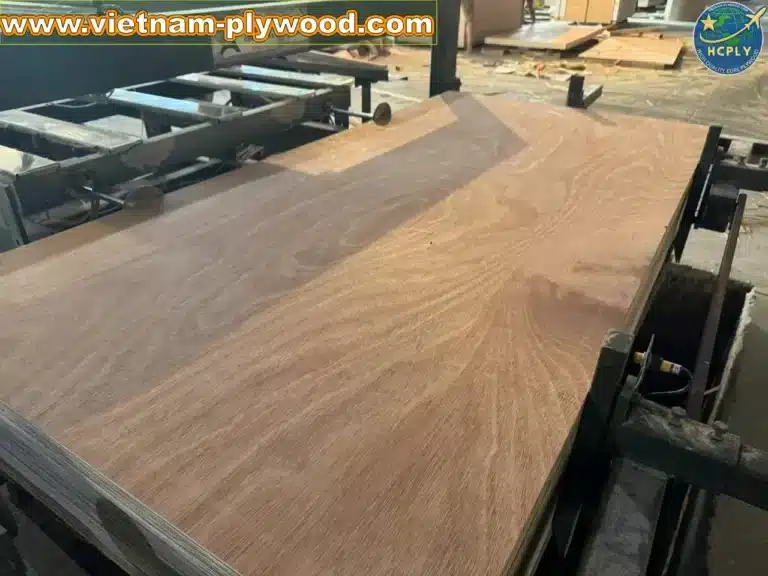 gurjan plywood vietnam premium export grade hcply