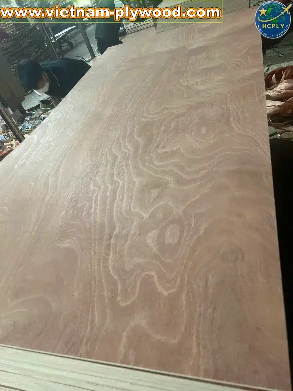 gurjan plywood vietnam premium export grade hcply