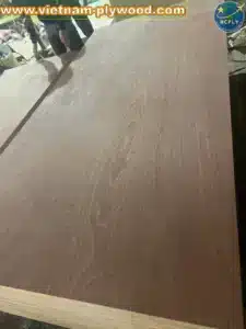 gurjan plywood vietnam premium export grade hcply