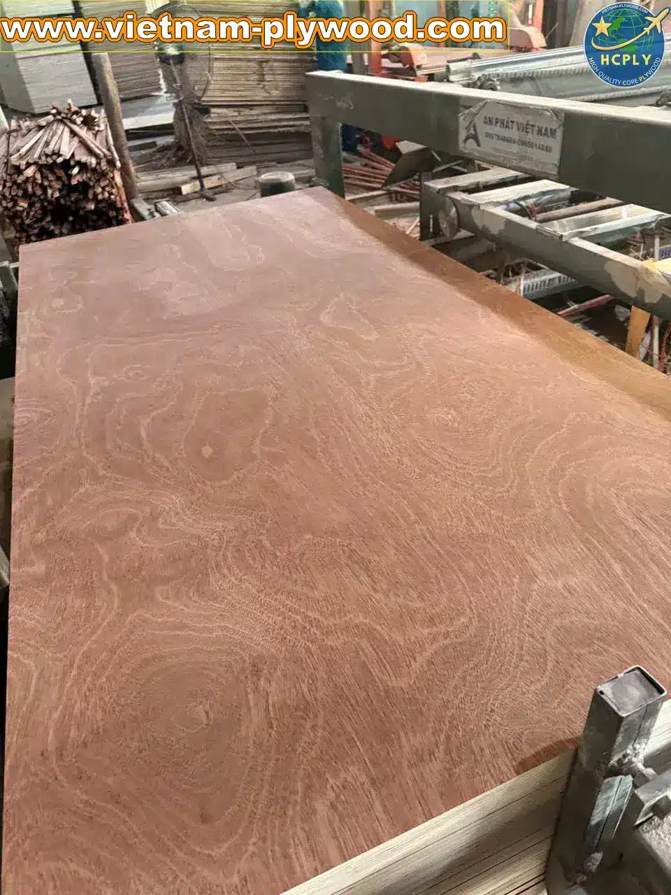 gurjan plywood vietnam premium export grade hcply