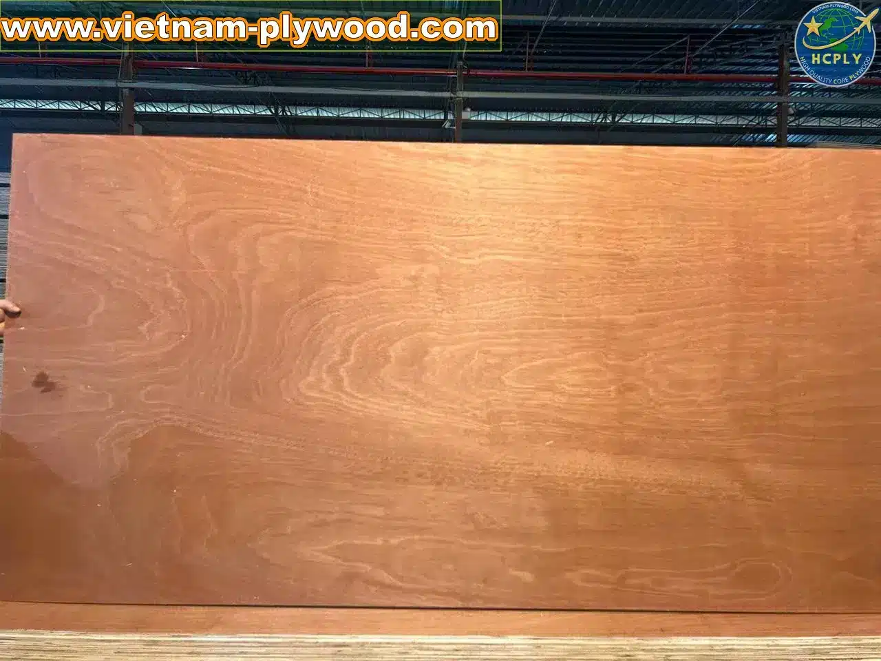 gurjan plywood vietnam premium export grade hcply